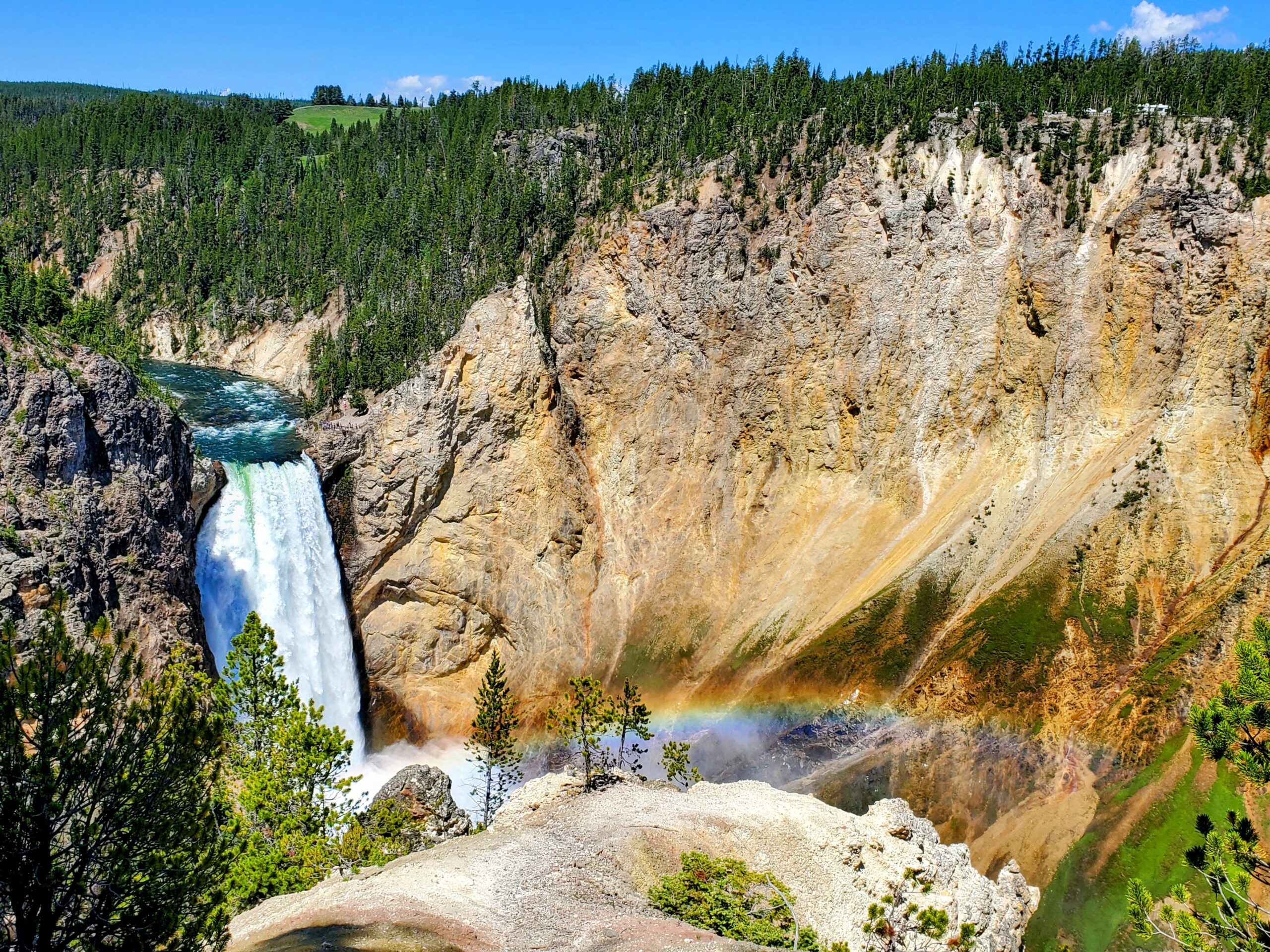 Lower Falls at Grand Canyon of Yellowstone